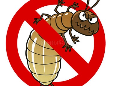 小塘防治白蚁中心家里有蚁害怎样杀白蚁才能杀干净