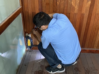 桂城白蚁备案所——白蚁最爱吃的食物